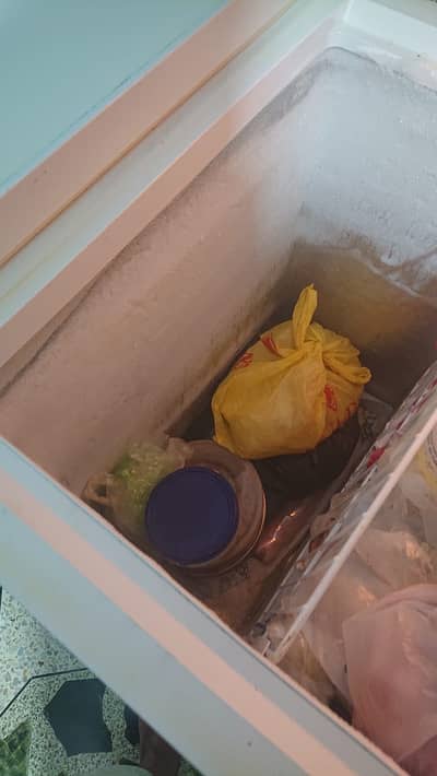 Triplet Haier Double Door Refrigerator