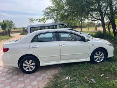 Gli Atuo for sale