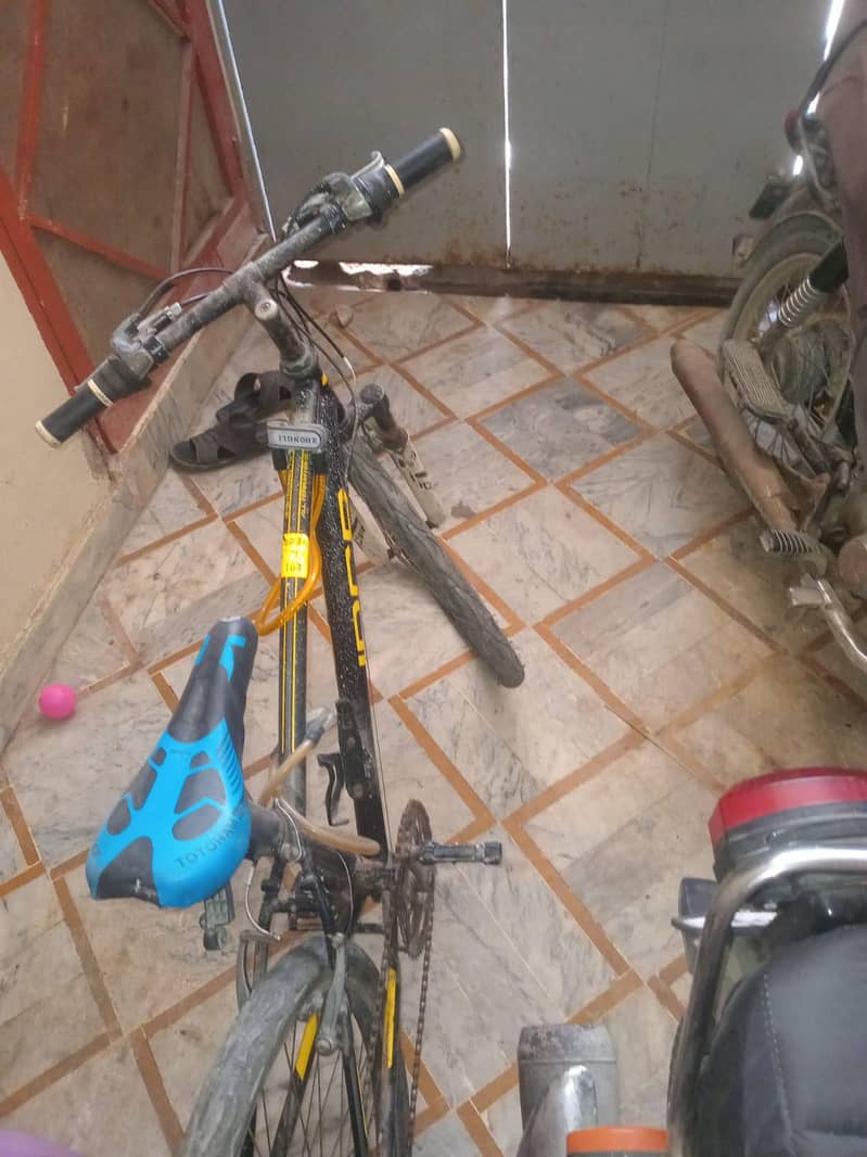japnees cycle 0