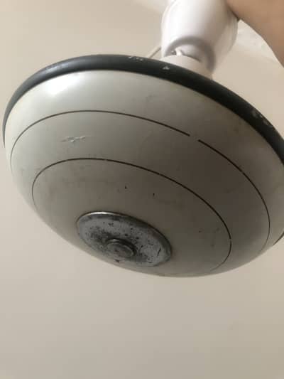 2 Royal Ceiling Fan in good condition
