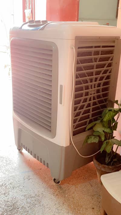 Limited Edition Master Air Coller
