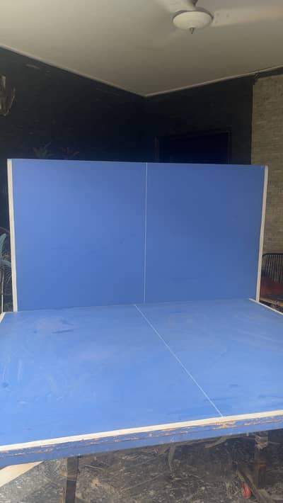 Table Tennis Table