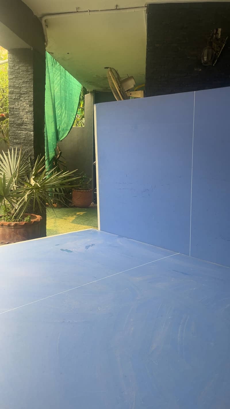 Table Tennis Table 1