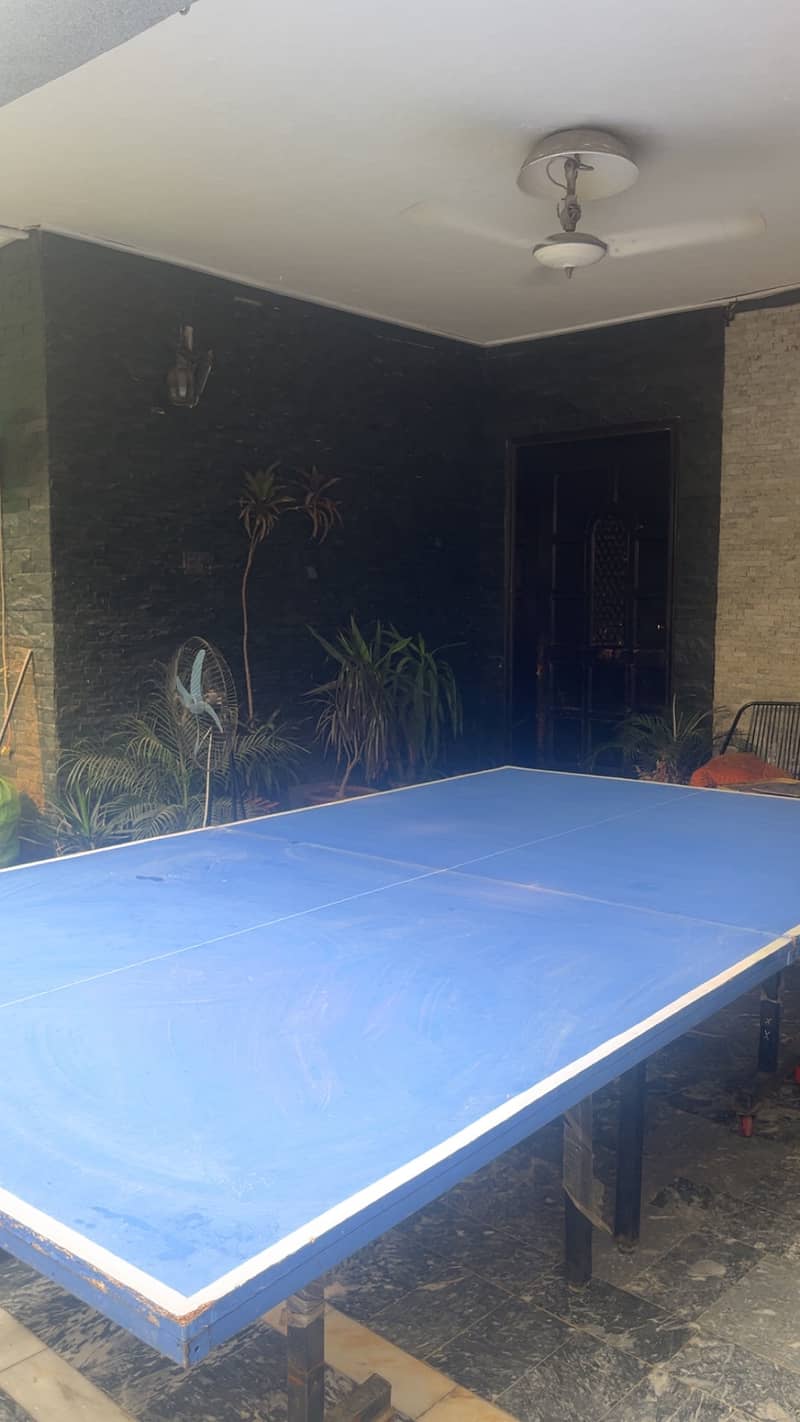 Table Tennis Table 3