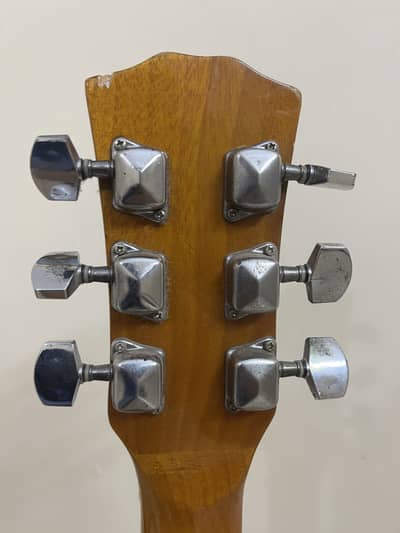 Proffesional acoustic guitar
