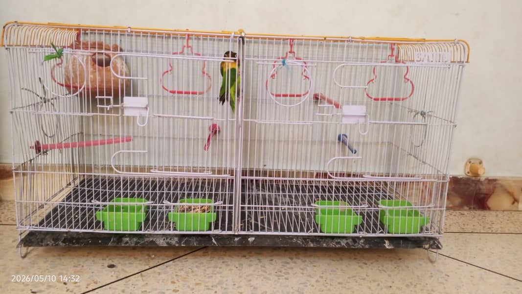 SARIB CAGE 0