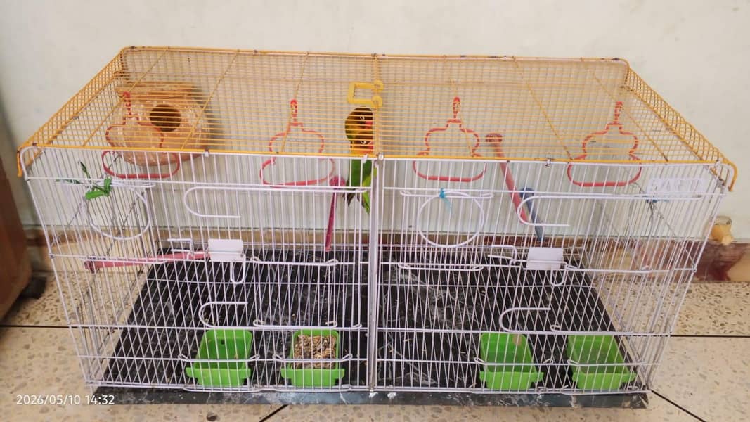 SARIB CAGE 1