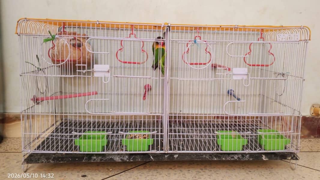 SARIB CAGE 2