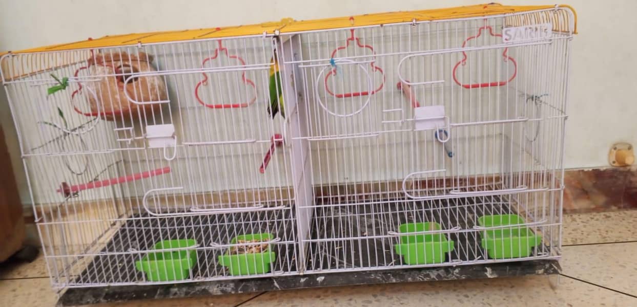 SARIB CAGE 3