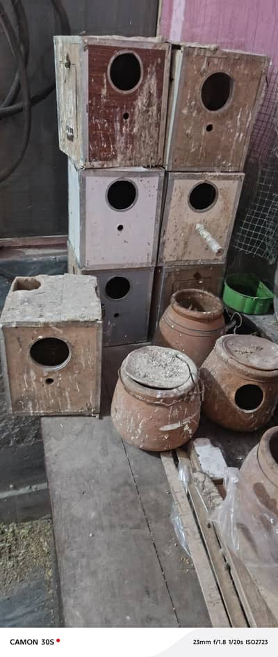 parrot box