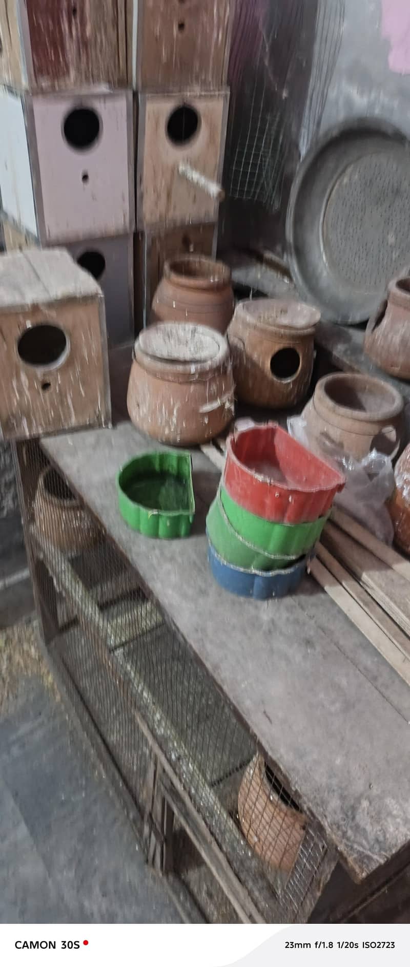 parrot box 1