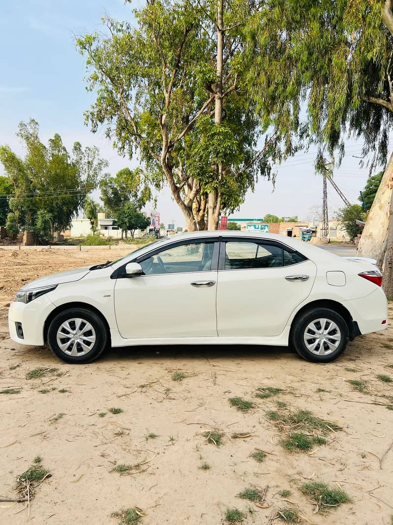 corolla xli 6
