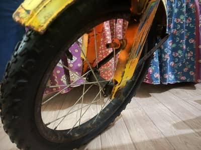 chicago bycycle
