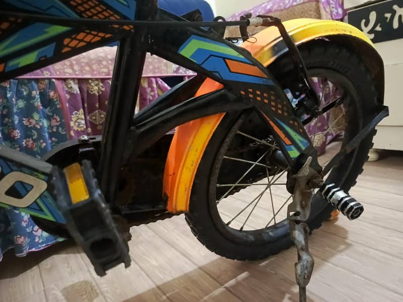 chicago bycycle 2