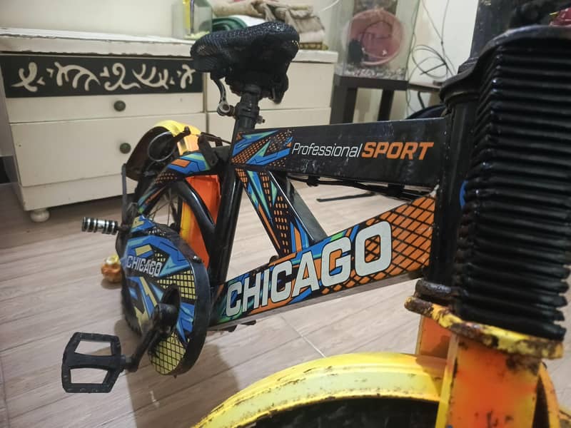chicago bycycle 5