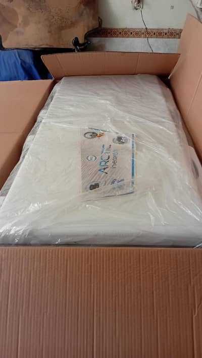 pel freezer new
