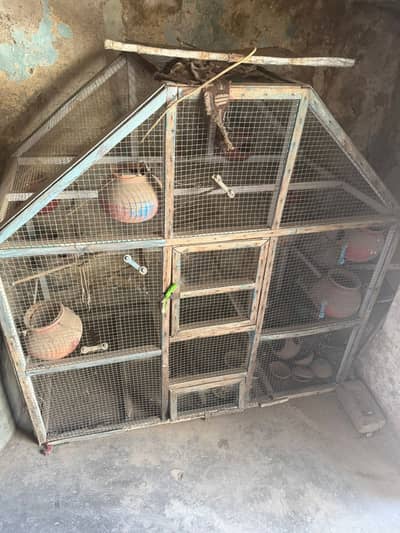 Birds cage