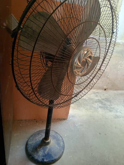 stain fan sale