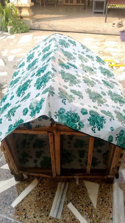 hen home best condition contact 03320508954 WhatsApp