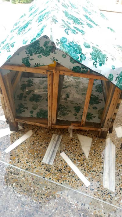 hen home best condition contact 03320508954 WhatsApp