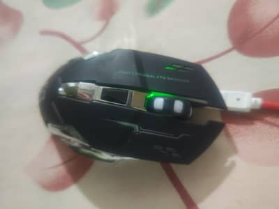 Wireless Gaming Mouse | RGB | USB Wired + 2.4G | Rechargeable