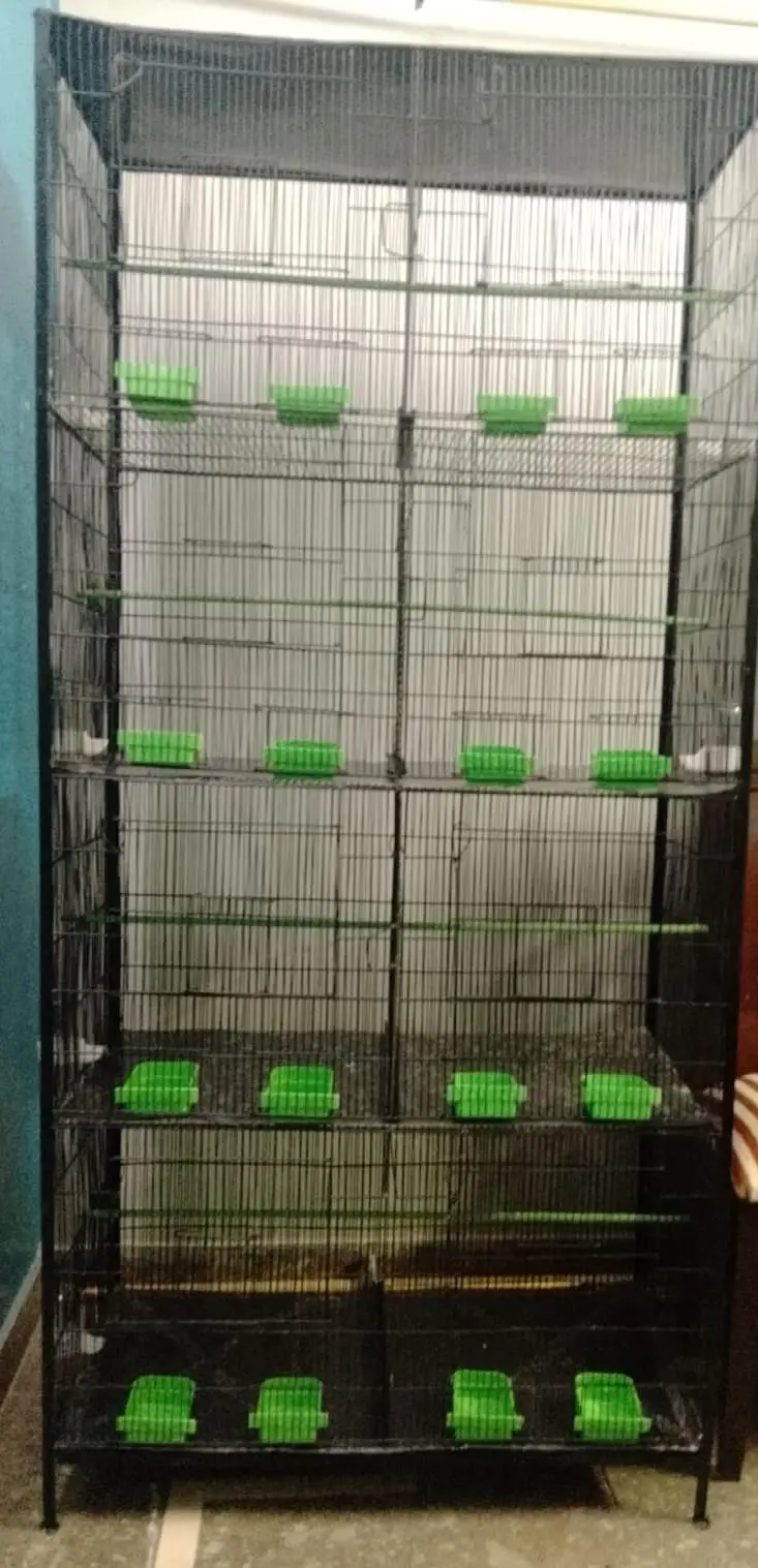 Cage 8 Portion — photo 2