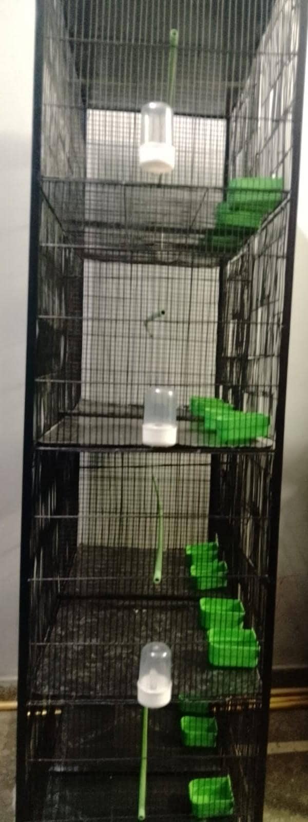 Cage 8 Portion 4