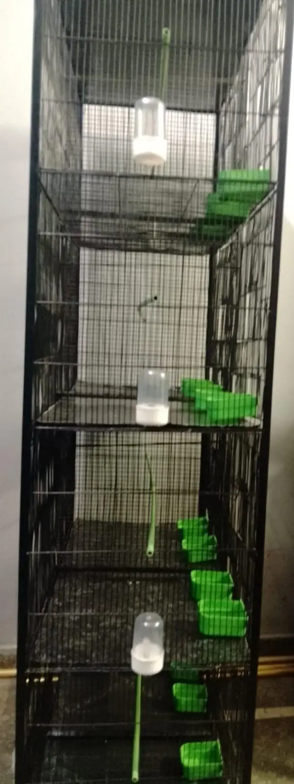 Cage 8 Portion — photo 5