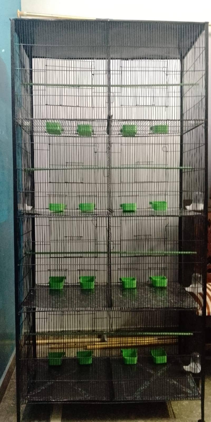 Cage 8 Portion 6