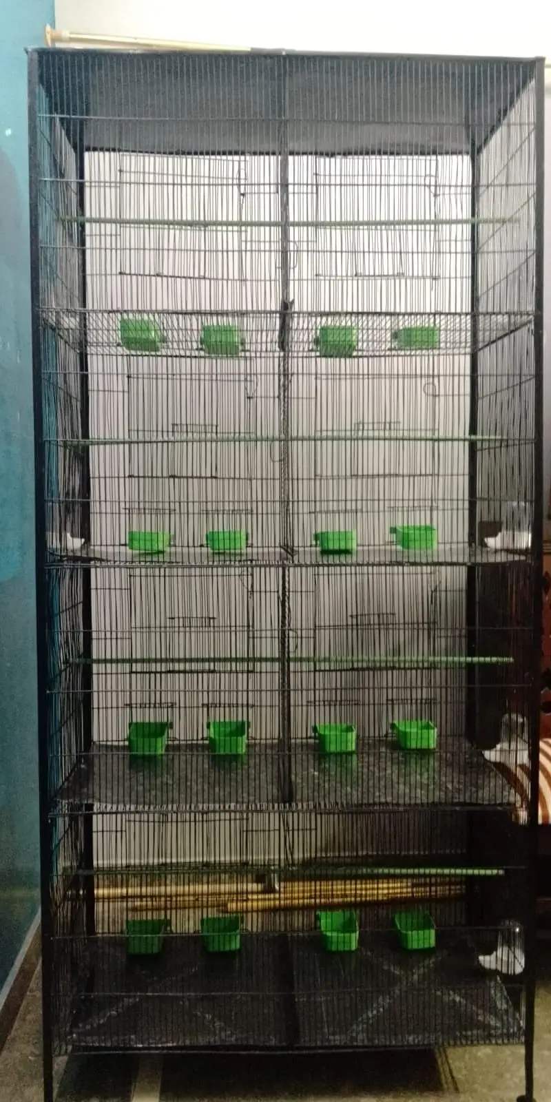 Cage 8 Portion — photo 7