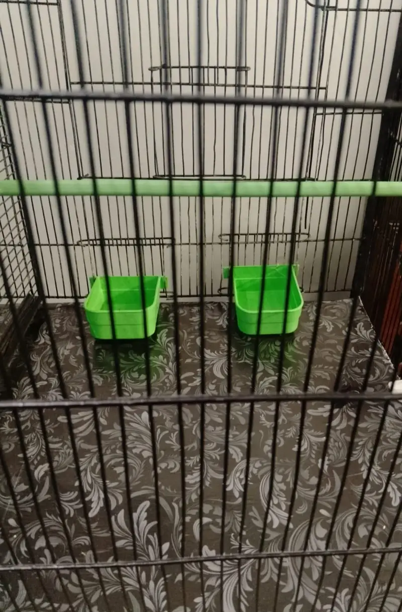 Cage 8 Portion — photo 8