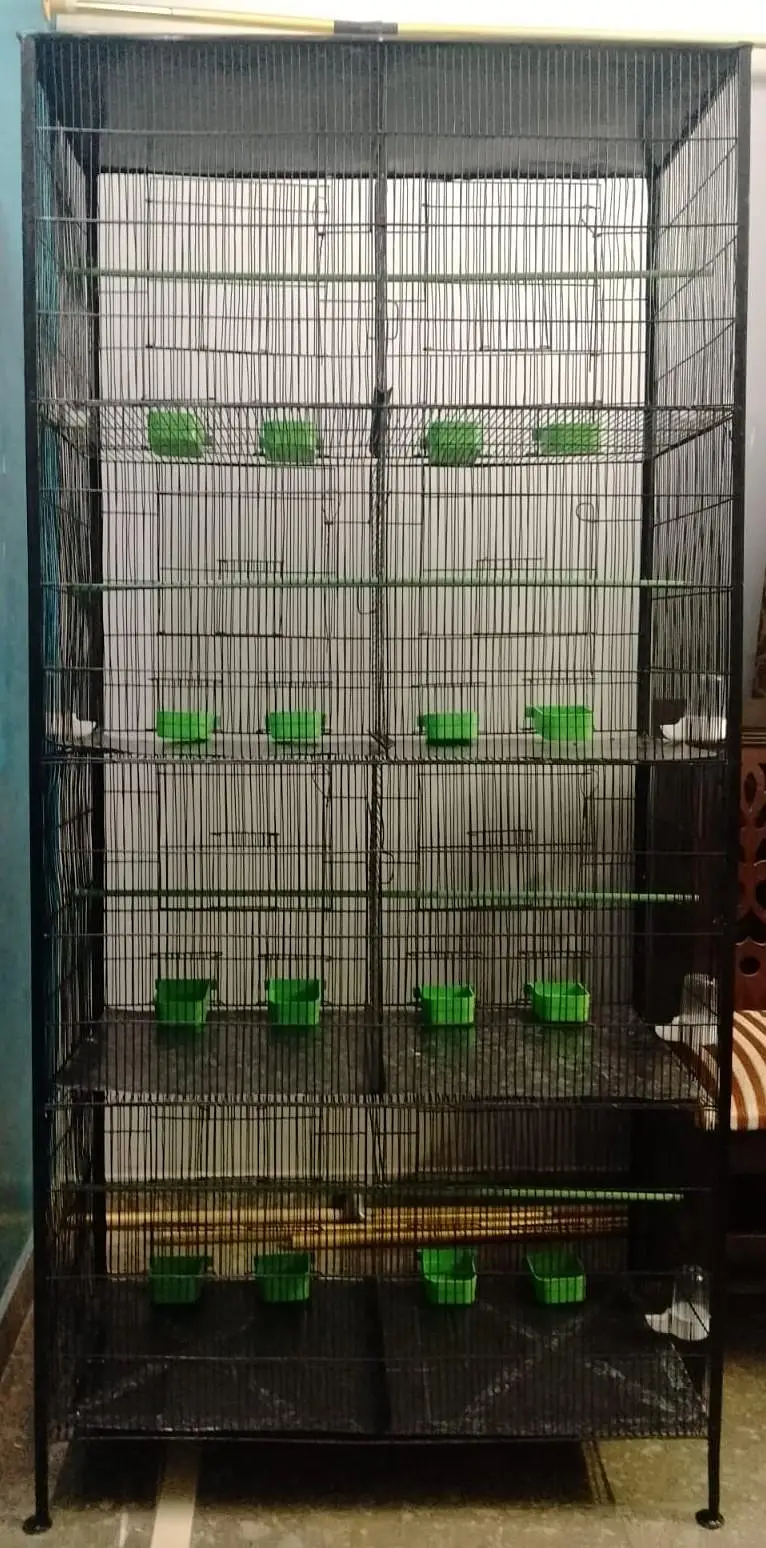 Cage 8 Portion — photo 9