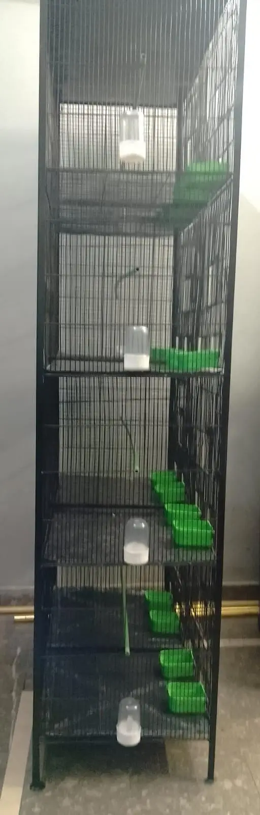 Cage 8 Portion — photo 11
