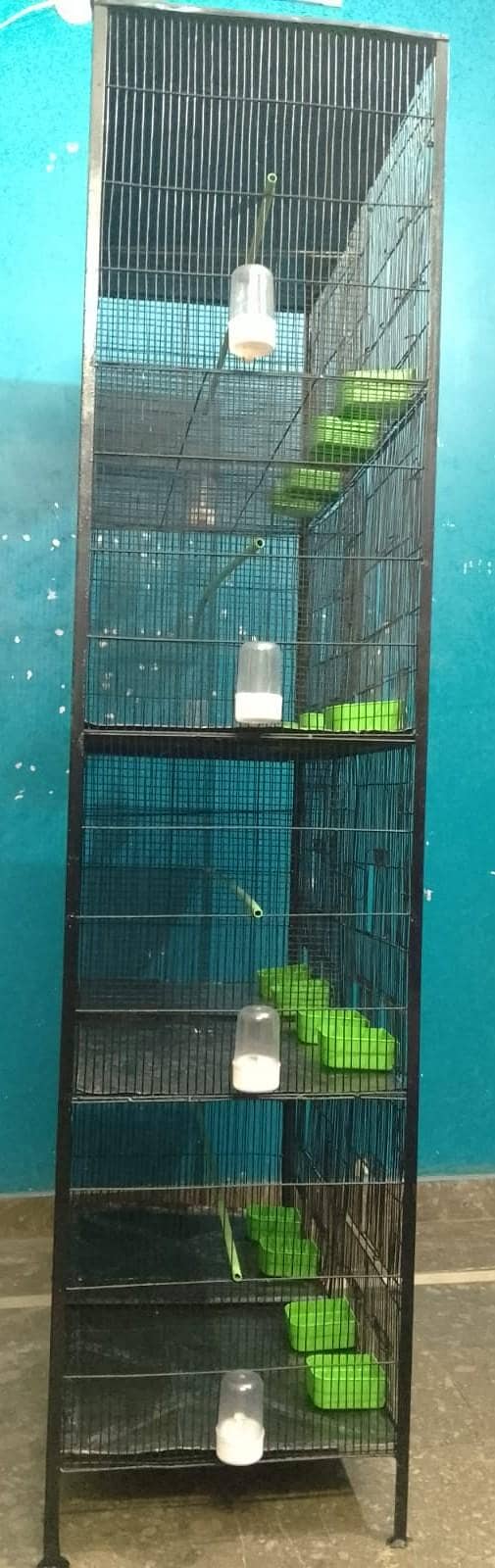 Cage 8 Portion 11