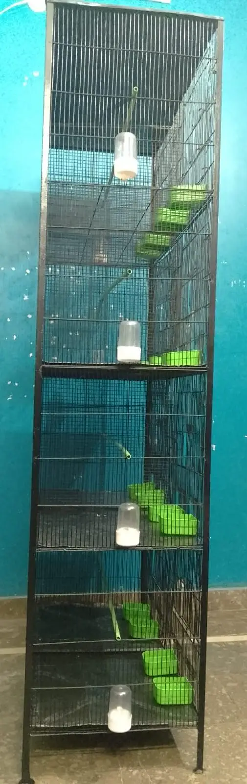 Cage 8 Portion — photo 12