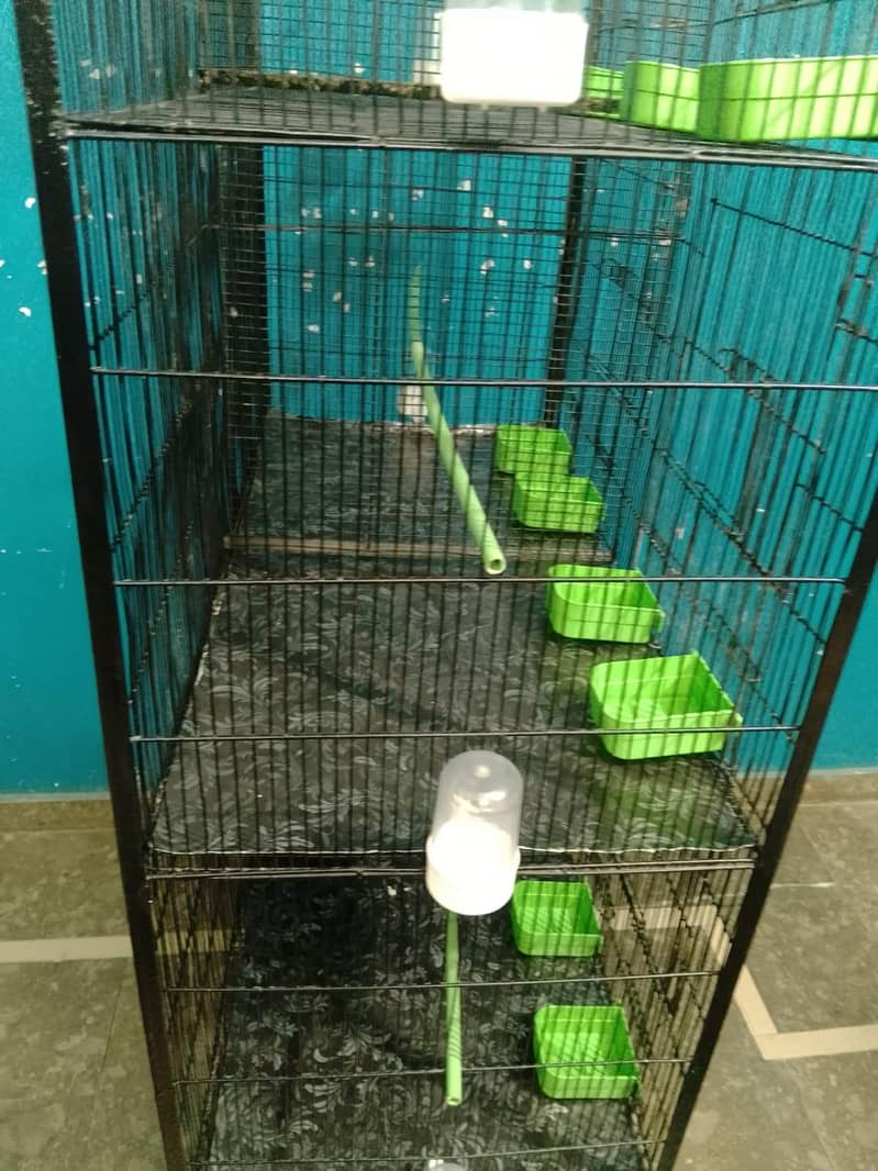 Cage 8 Portion 12
