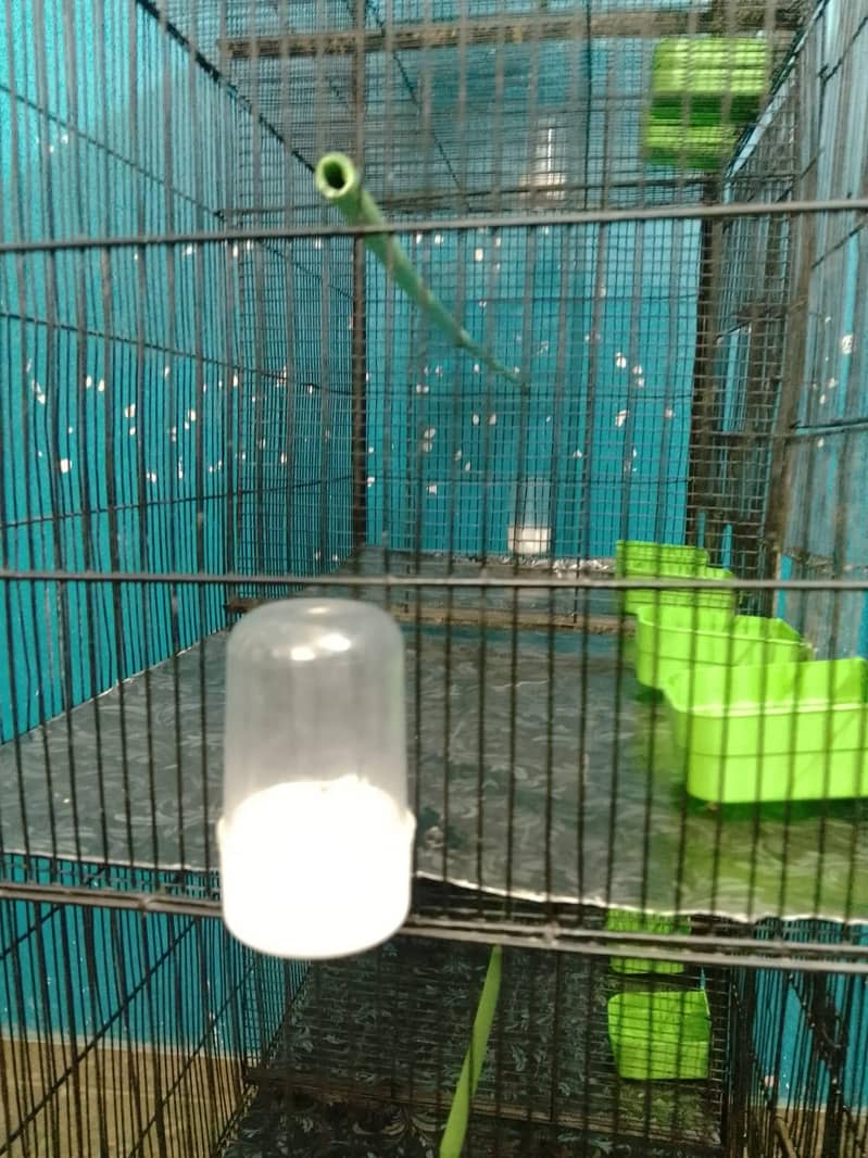 Cage 8 Portion 13