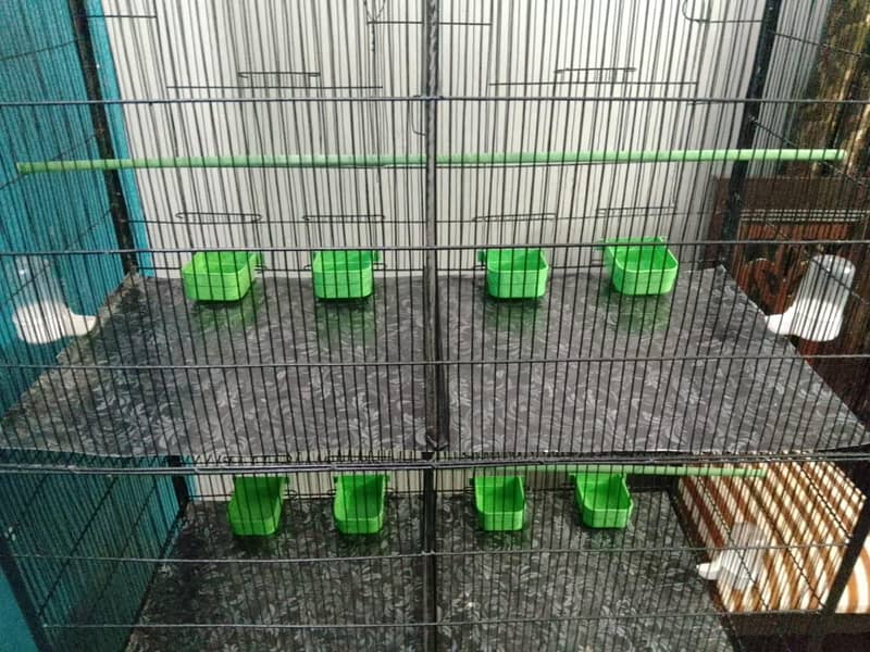 Cage 8 Portion 14