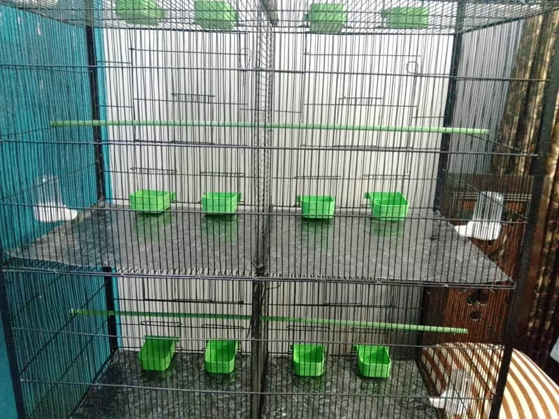 Cage 8 Portion 15