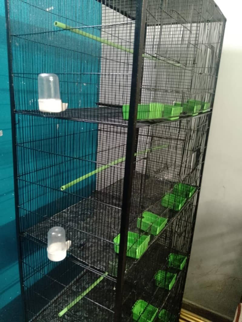 Cage 8 Portion 16