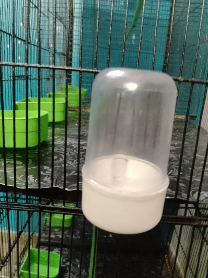 Cage 8 Portion 17