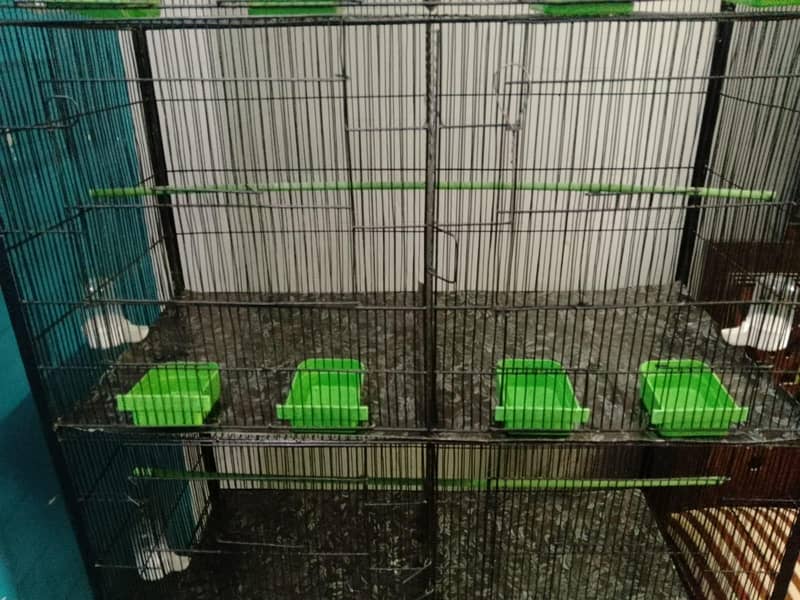 Cage 8 Portion 18