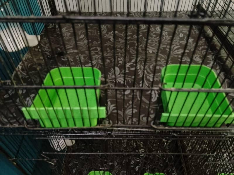 Cage 8 Portion 19
