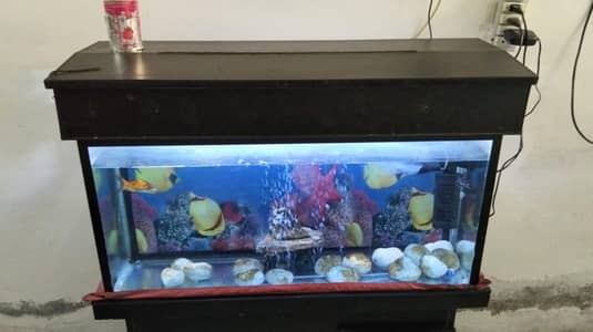 3 fit aquarium 8 mm shisha ha