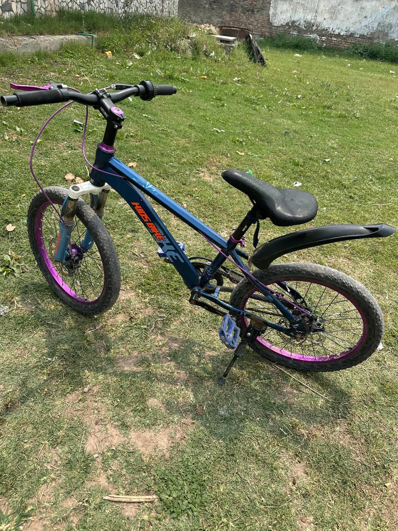 cycle 0