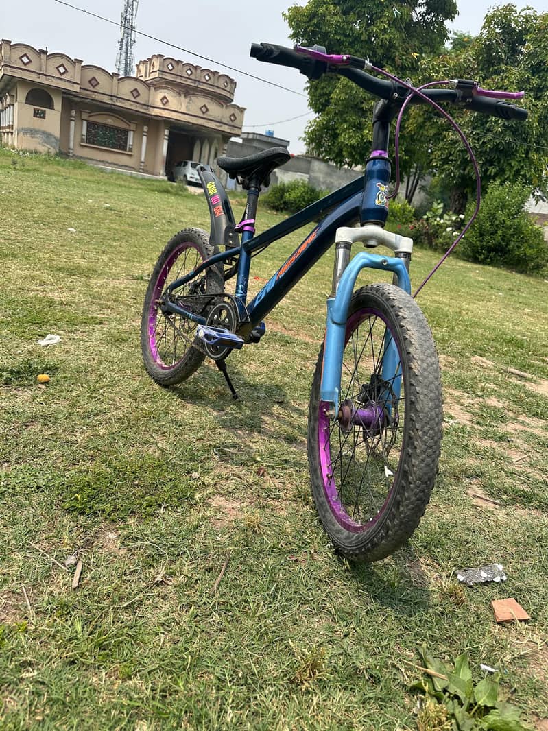 cycle 2