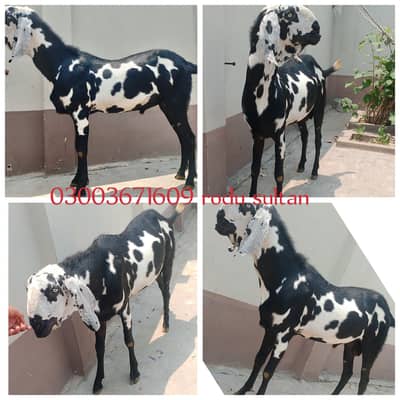 For sale