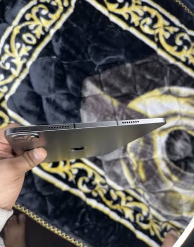 Ipad Pro M1 256/GB
