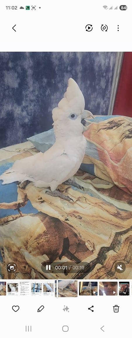 Coca 2 0