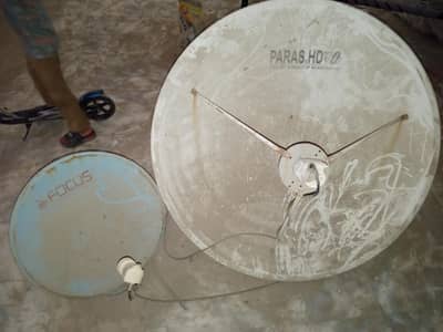 dish antina